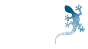 bluelizerd - Home