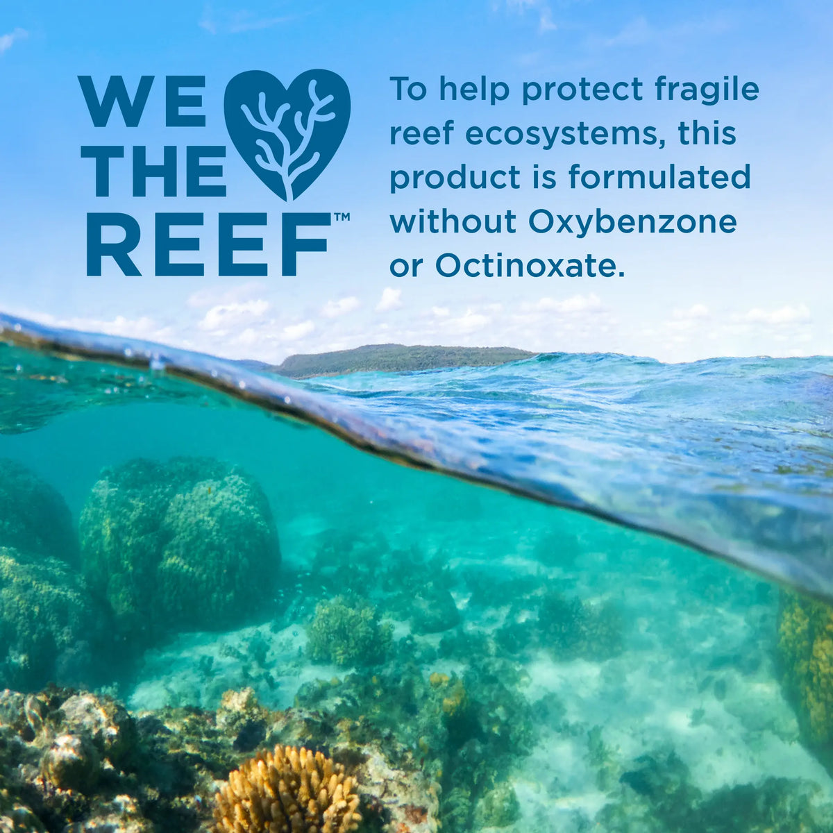 Statement  'We the Reef' with a view of a coral reef and ocean.