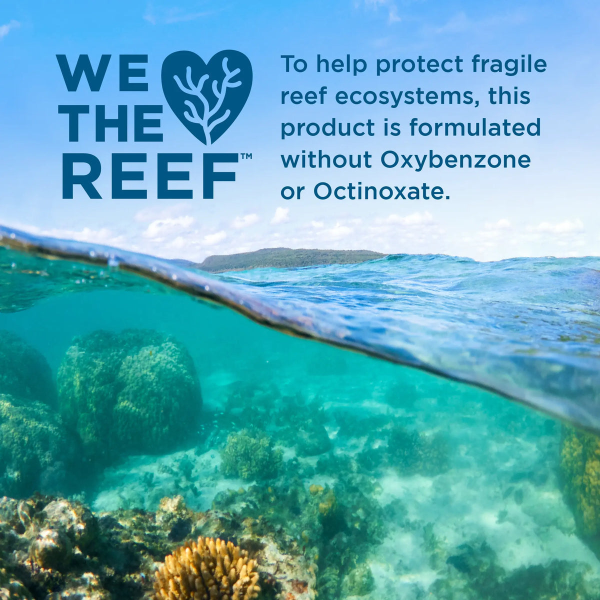 'We love the Reef' statement with a view of a coral reef and ocean.